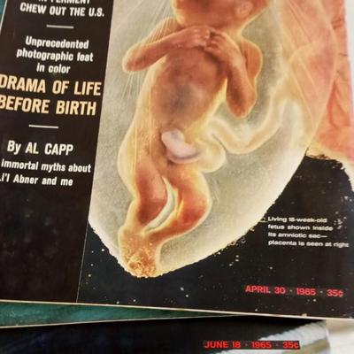 LOT 63  EARLY LIFE MAGAZINES