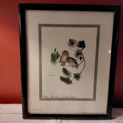 Anne Worsham Richardson = Saw-Whet Owl, 1973 Signed in Pencil Print.