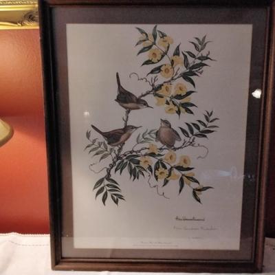 Anne Worsham Richardson - Carolina Wren with Yellow Jessamine Signed and Numbered