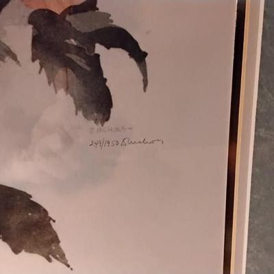 D. Nichols Signed and Numbered