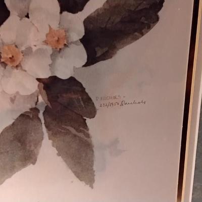D. Nichols Signed and Numbered