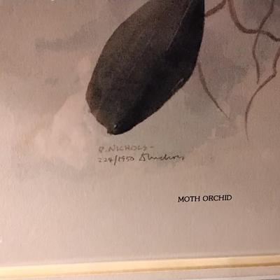 D. Nichols Signed and Numbered