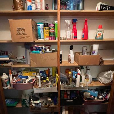 Everything in the pantry closet