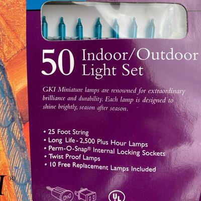 Indoor Outdoor Holiday Lights