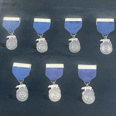 Lot 87 Framed Student Music Medals + Programs + Scrapbook