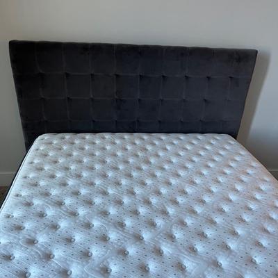 Queen Sized Platform Bed With Headboard (M-MG)