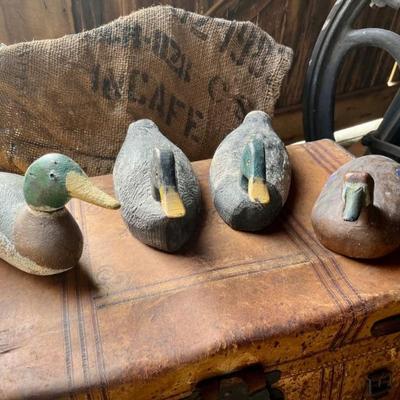 Wooden Duck Decoys