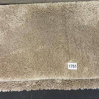 Brown Rug 60 x 24â€