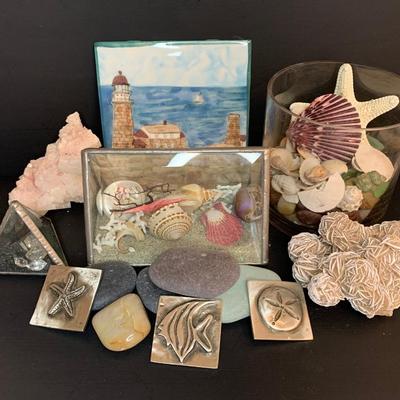 LOT 46: Sea Shells Collection  & More