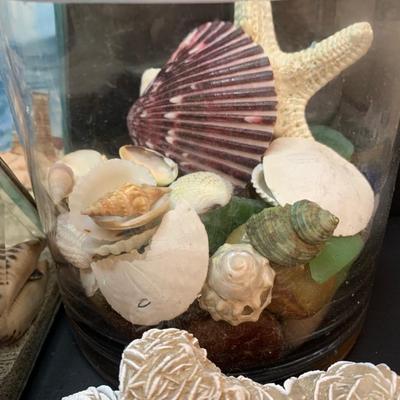 LOT 46: Sea Shells Collection  & More
