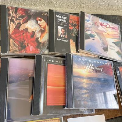 Lot of vintage Rock CDs.