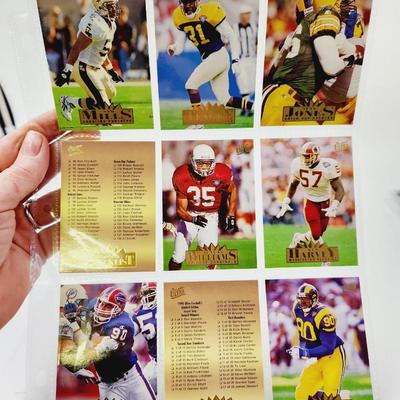 224 COLLECTABLE FOOTBALL CARDS W/ PROTECTIVE SLEEVES