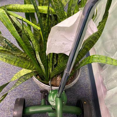Plant and Pot Mover