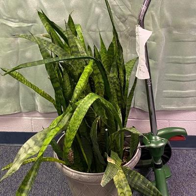 Plant and Pot Mover