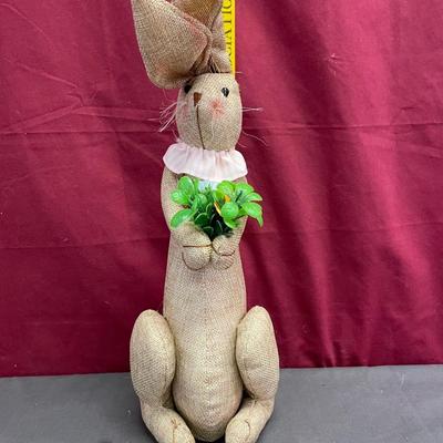Bunny