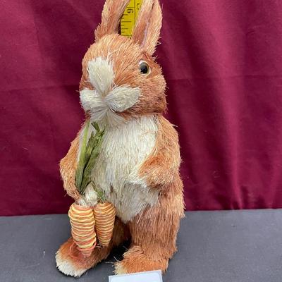 Bunny