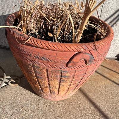 Two larger Terra Cotta pots