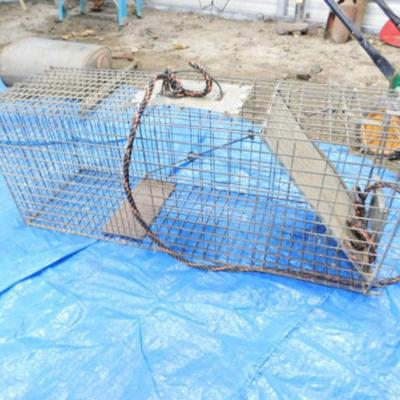 Medium Size Animal Live Trap Choice B