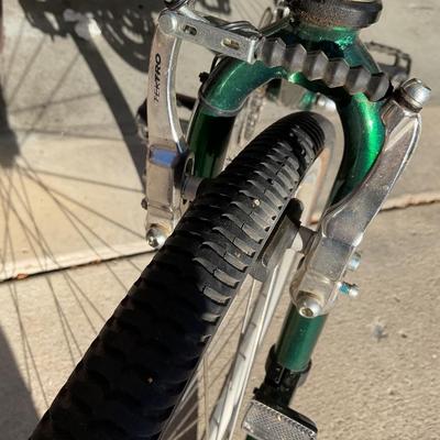 Bianchi Advantage