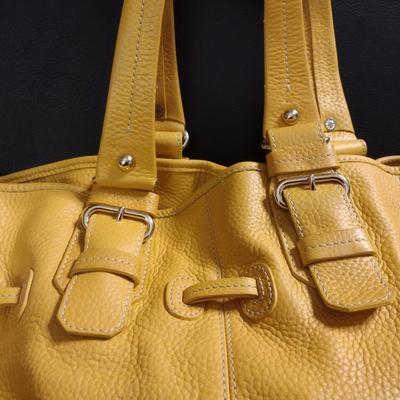 Dooney & Burke Purse