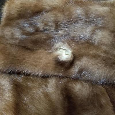 Fur Coat