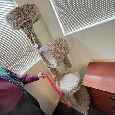 Carpeted Cat palace