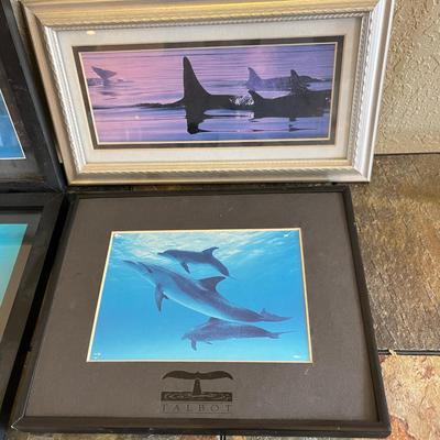 Lot of wale picturse