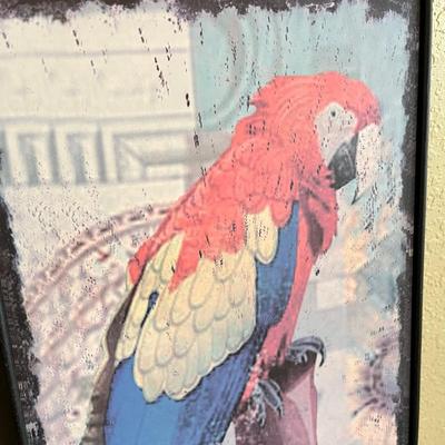 Tin Bird Pictures