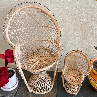 Boho Peacock Chair plant stands w/ Plant arrangements