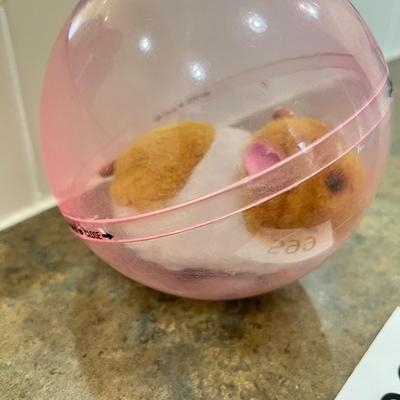 Toy Hampster in ball