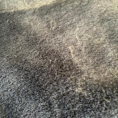 Blue Fleece Throw