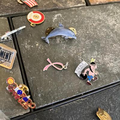 Lot of pins/ award pins