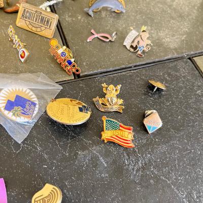Lot of pins/ award pins