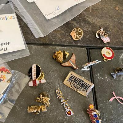 Lot of pins/ award pins