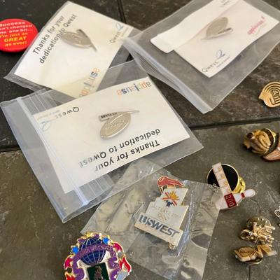 Lot of pins/ award pins