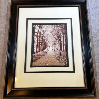 Tree Lined Sidewalk in the Fall Photograph Sepia Framed 