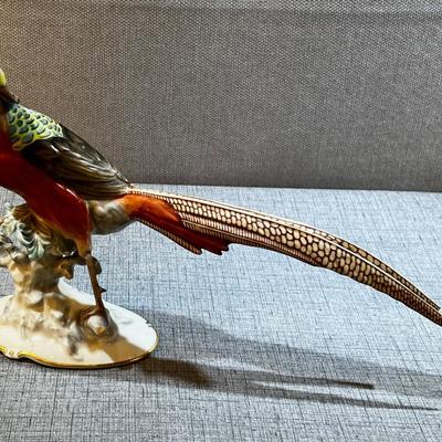  Fancy Pheasant by Hutschenreuther  Chinese Pheasant
