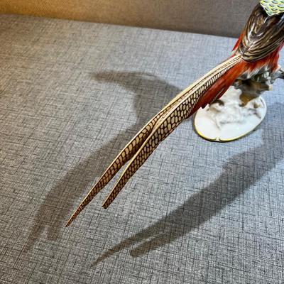  Fancy Pheasant by Hutschenreuther  Chinese Pheasant