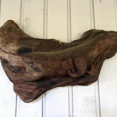 Lovely Carved Wood Otter Wall Art
