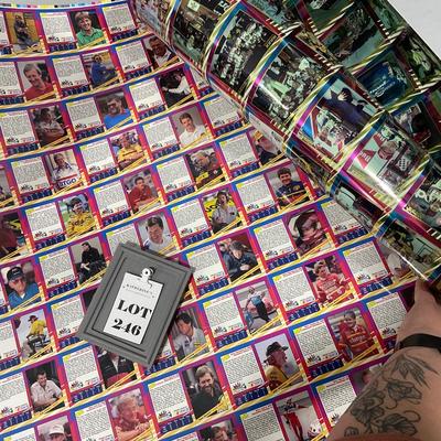 -246- NASCAR | Two Sheets Of Tightly Rolled Uncut Cards