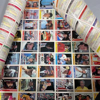 -248- NASCAR | Two Sheets Of Tightly Rolled Uncut Cards