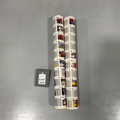 -250- NASCAR | Two Sheets Of Tightly Rolled Uncut Cards