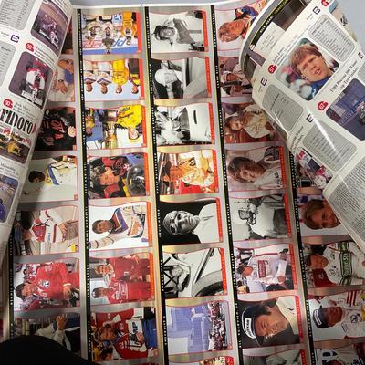 -250- NASCAR | Two Sheets Of Tightly Rolled Uncut Cards