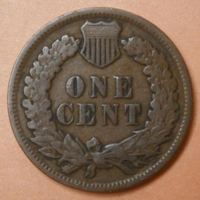 UNITED STATES 1895 Indian Head Penny