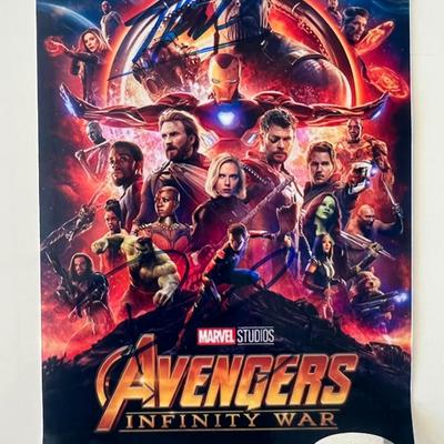 Avengers Infinity War signed photo