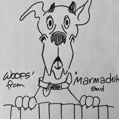 Marmaduke Brad Anderson hand drawn signed sketch. GFA authenticated
