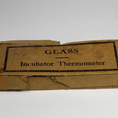 Glass Incubator Thermometer