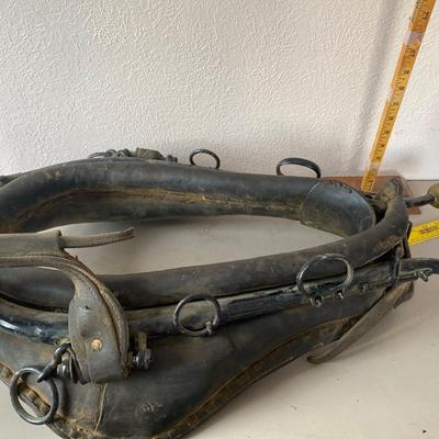 Vintage to antique horse collar