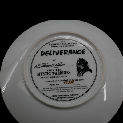 Set of Native American Collectors Plates