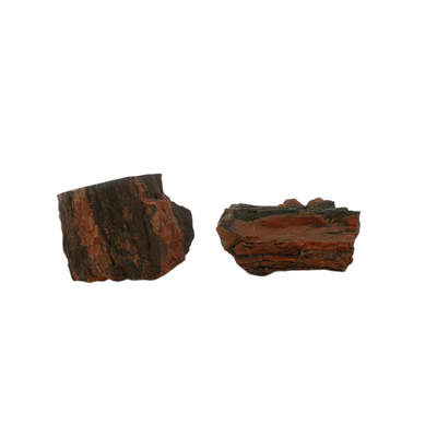 Petrified Wood Fossils